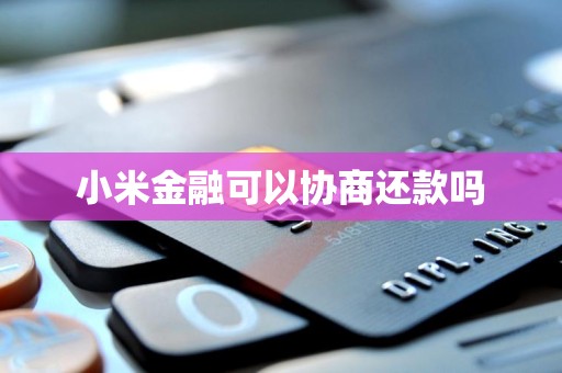 小米金融的還款協商機制與金融信息咨詢服務解析